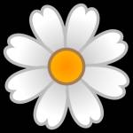 awal hossain Profile Picture