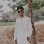 Sazzad Ansary profile picture