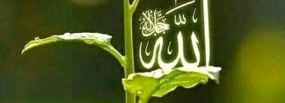 Riazul Islam Cover Image