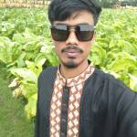 Sojib Ahmed Profile Picture