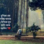 Sajed Islam Profile Picture