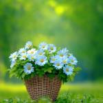 MD YOUNUS profile picture