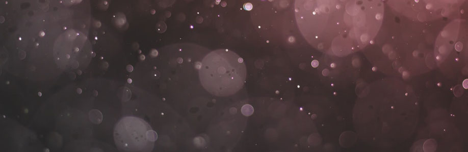 Carrie Baumbach Cover Image